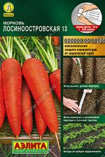 Морковь Лосиноостровская 13