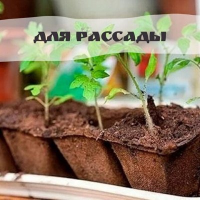 Большой выбор удобрений, грунтов, средств защиты растений.