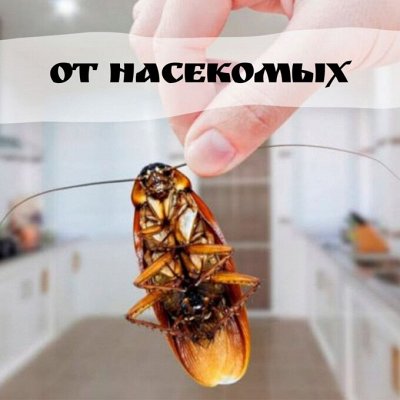 Большой выбор удобрений, грунтов, средств защиты растений.