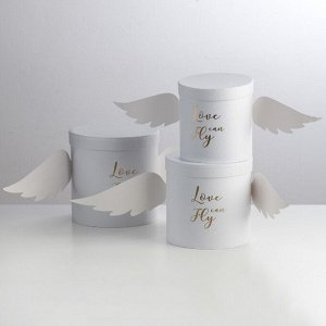 Подарочные коробки 3 в 1 - Love Can Fly