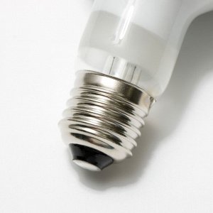 Лампа для террариума UVA NomoyPet, дневной свет, 50 Вт, цоколь Е27