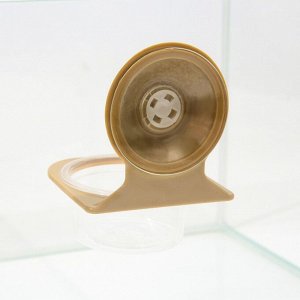 Кормушка NomoyPet для террариума на присоске, 7,5 х 11 см