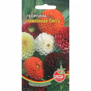 Семена цветов Георгина "Плант" "Помпонная" смесь, 0,1 г