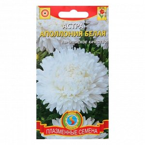 Семена цветов Астра "Апполония" белая, О, 0,2 г