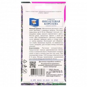 Семена цветов Алиссум "Фиолетовая королева", 0,1 г
