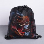 Мешок для обуви с дополнительным карманом T-REX, размер 41х34 см