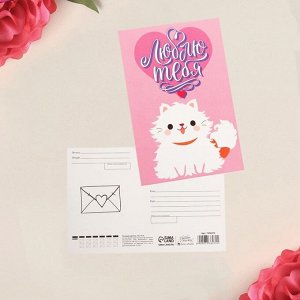 Почтовая карточка «Люблю тебя», кот, 10 х 15 см