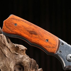 Нож автоматический, складной "Фарт" сталь - 420, рукоять - бакелит, 20 см
