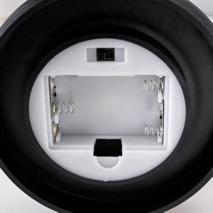 Ночник колба "Влюбленная пара" LED от батареек 3хААА 11х11х21,5 см RISALUX