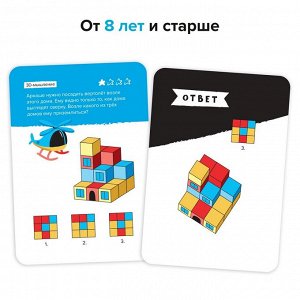 Игра-головоломка  Железная логика