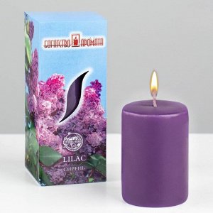 Свеча ароматическая "Сирень", 4?6 см