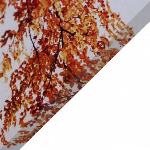 Картина модульная на подрамнике "Краски осени" 125х80 см (1-25х80; 2-25х70; 2-25х63)