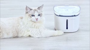 Поилка для домашних животных Xiaomi Mijia