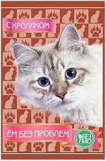 Ем без проблем влажный корм для кошек Кролик 85гр пауч