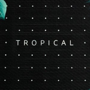 Набор салфеток на стол 2 шт. "Tropical" 40*29 см