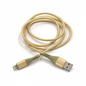 Кабель BYZ BС-029i, USB - Lightning, 5 А, 1 м, золотистый