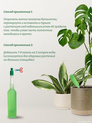 FUJIMA Удобрение для всех видов кактусов и суккулентов, 10 шт по 35 м