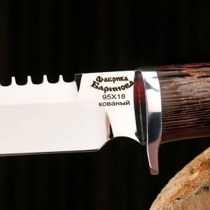 Нож охотничий "Сокол-1" сталь - 95х18, рукоять - венге / береста