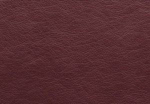 FUSION bordo