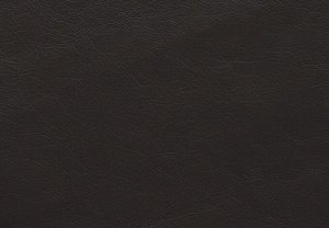 FUSION black