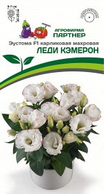 Семена  Эустома карликовая махровая ЛЕДИ КЭМЕРОН F1 ^(5шт в амп)