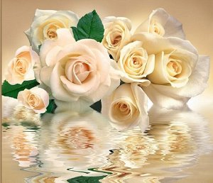 Фотообои Белые розы  (12 листов)