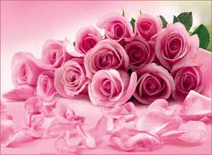 Фотообои  Розовые розы (8 листов)