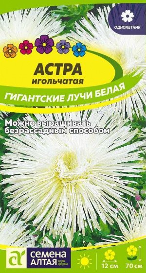Астра Гигантские лучи Белая 0,2гр
