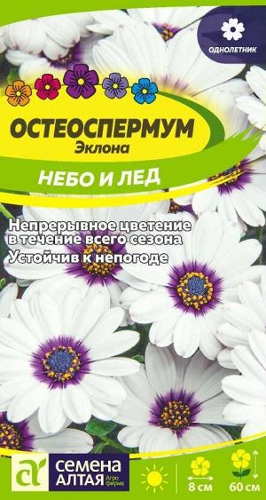 Цветы Остеоспермум Небо и Лед/Сем Алт/цп 0,1 гр.