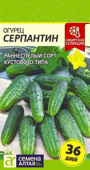 Огурец Серпантин 0,5 гр. Сибирская Селекция!