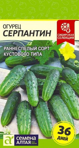 Огурец Серпантин/Сем Алт/цп 0,5 гр. Сибирская Селекция!