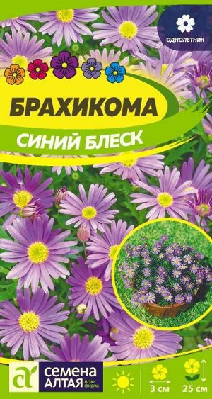 Цветы Брахикома Синий блеск/Сем Алт/цп 0,05 гр.