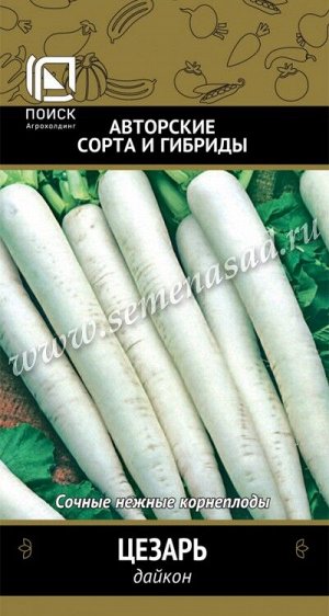 Дайкон Цезарь(А) (ЦВ) 1гр.