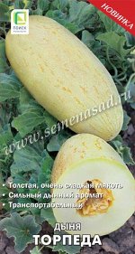 Дыня Торпеда (А)(ЦВ) 15шт.