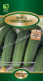 Огурец Трилоджи F1 (ЦВ*) 10шт.