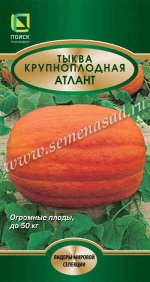 Тыква Крупноплодная Атлант (ЦВ*) 5шт.