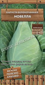 Капуста белокочанная Новелла (сер.Декоративный огород ) (А) (ЦВ) 0,1 г