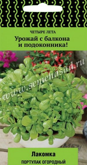 Портулак огородный Лакомка (сер.Четыре лета) (А) (ЦВ) 20 шт.
