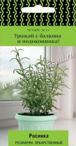 Розмарин лекарственный Росинка (сер.Четыре лета) (А) (ЦВ) 10 шт.