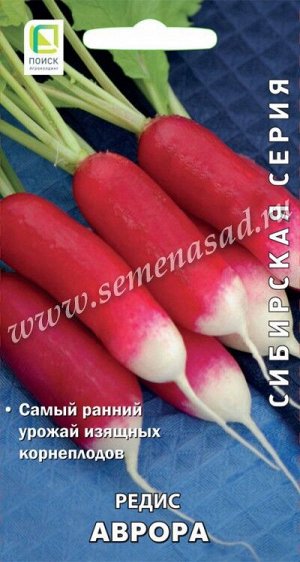 Редис Аврора (сиб.серия) (А) (ЦВ) 3гр.