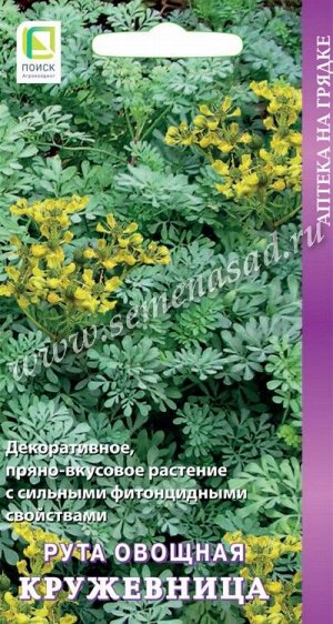 Рута овощная Кружевница (ЦВ) 25 шт