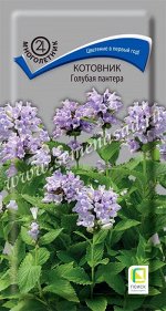 Котовник &quot;Голубая пантера&quot;