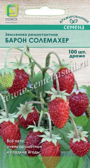 Земляника ремонтантная (Драже) Барон Солемахер (ЦВО) 100шт