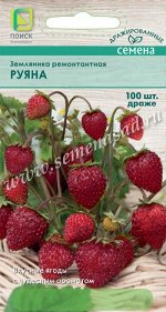 Земляника ремонтантная (Драже) Руяна (ЦВО) 100шт