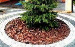 Кора сосны (фр.10-20см) 60л
