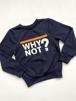 Джемпер детский темно-синего цвета &quot;Why not?&quot; (футер с начесом)
