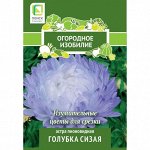 Астра пионовидная Голубка сизая (Огородное изобилие) (&quot;1) 0,3г