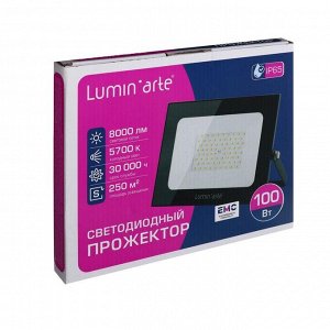 Прожектор светодиодный Luminarte LFL-100W/05, 100 Вт, 5700 К, 8000 Лм, IP65, черный,