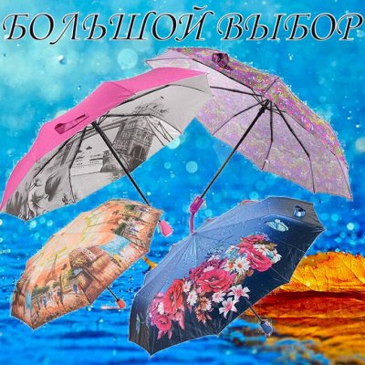 Зонты на любой вкус