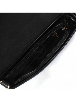 Сумка женская искусственная кожа DJ-CM 6120A-BLACK,  1отд,  плечевой ремень,  черный 240810